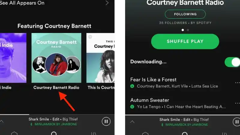 Unduh Spotify Premium APK (No Ads, Offline Mode) v9.1.46.1922 Apa Itu Spotify Premium?